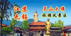 91艹小穴江苏无锡灵山大佛旅游风景区