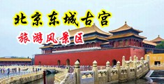 日本制服肛淫视频中国北京-东城古宫旅游风景区
