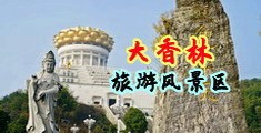 插入骚逼17p中国浙江-绍兴大香林旅游风景区